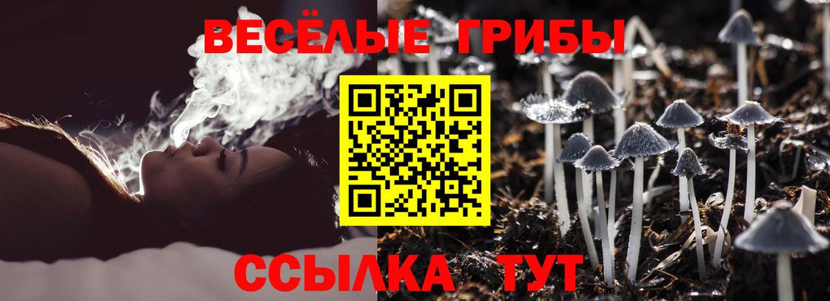 Псилоцибиновые грибы Psilocybine cubensis  Вход с VPN  Сибай  Псилоцибиновые грибы Psilocybe 